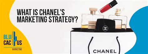 chanel food chain marketing strategy|chanel brand guidelines.